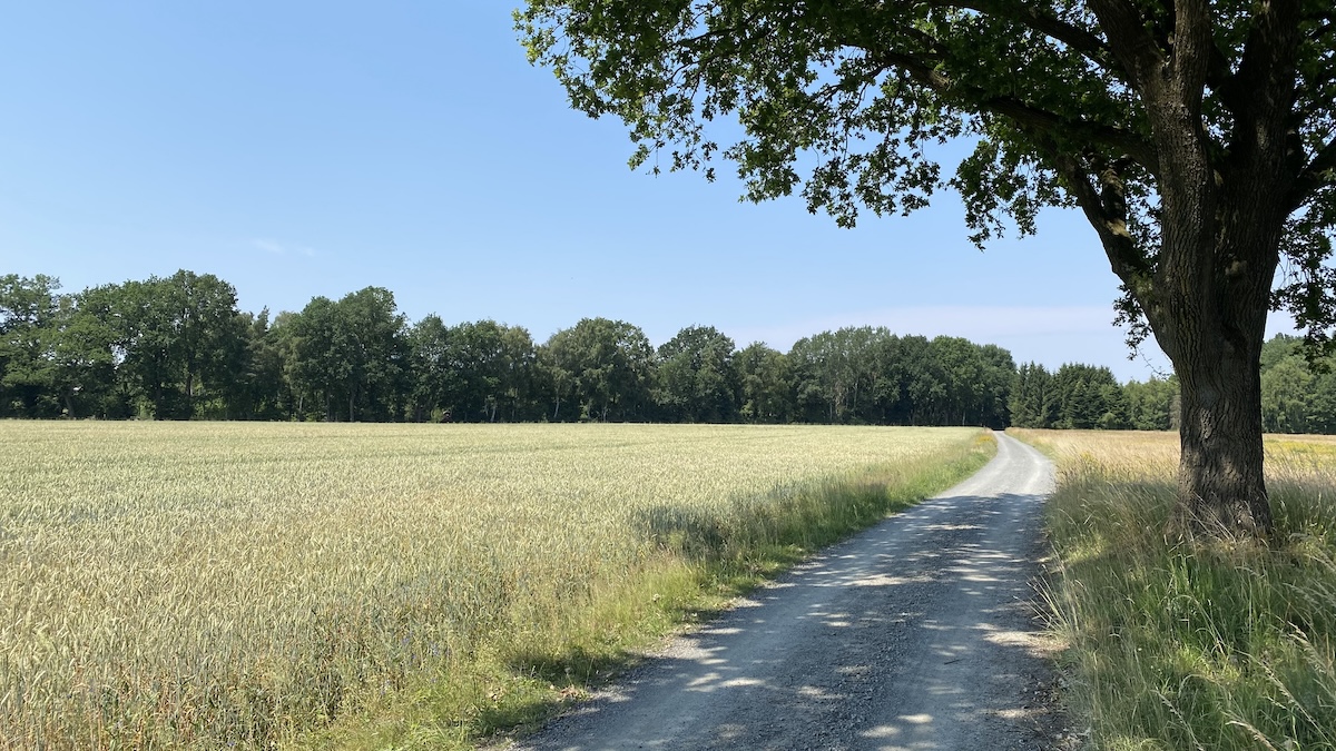 Keine „Trabantenstadt West“ auf Trelder und Steinbecker Gebiet