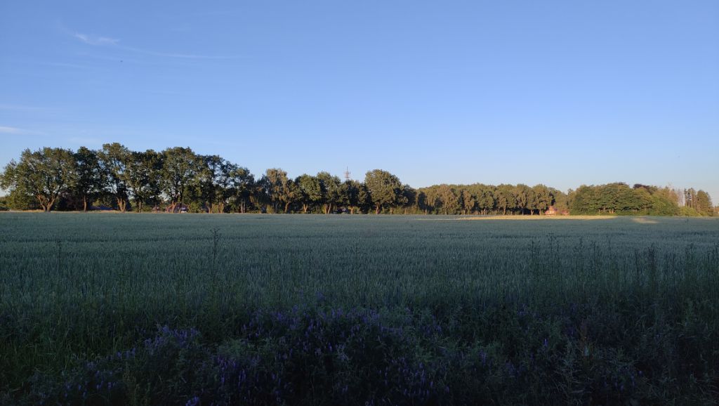 Keine „Trabantenstadt West“ auf Trelder und Steinbecker Gebiet