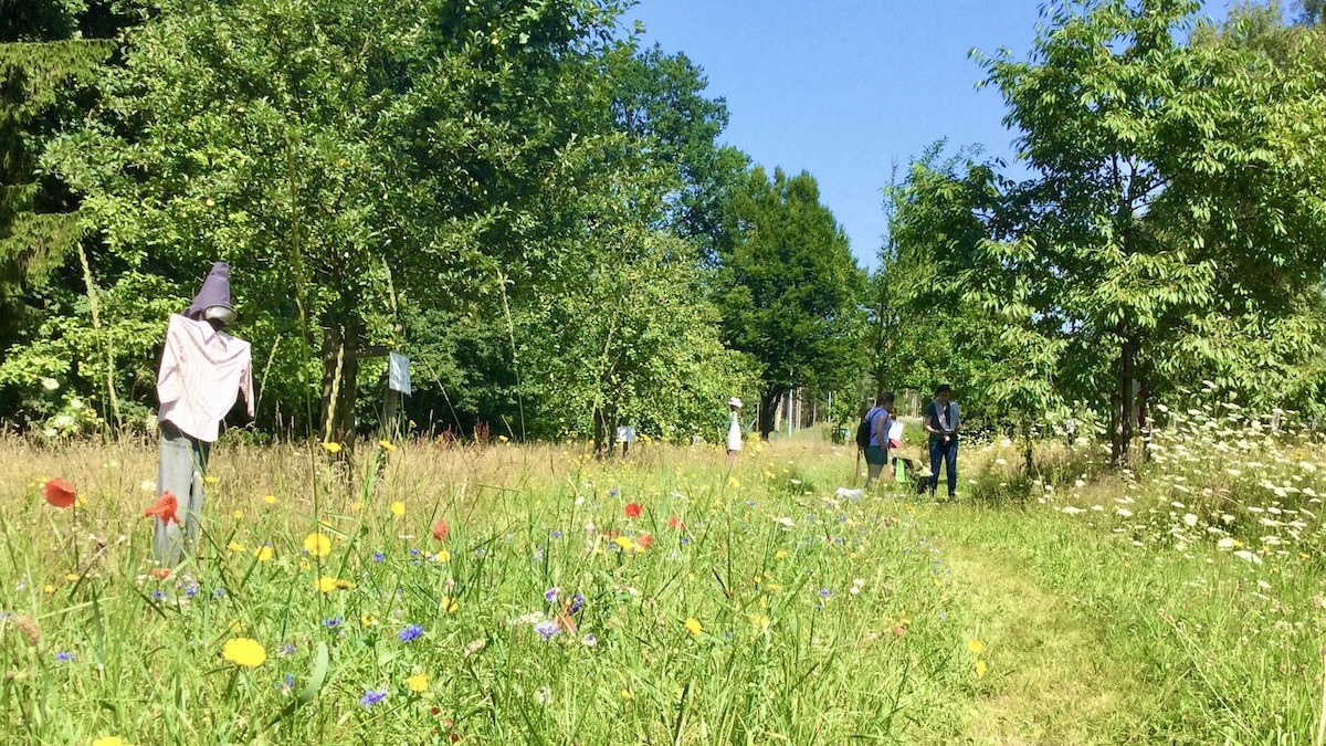 Neuer Feuerwehrstandort Holm-Seppensen: Planverfahren kommt zum Abschluss, Streuobstwiese ist endgültig gerettet